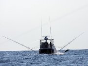 Jarrett Bay 53